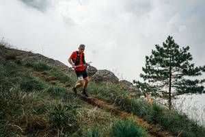 BIB: 
                            <button type="button" onclick="openModal(25997926)" class="btn btn-primary btn-sm float-right btn-popup" data-toggle="modal" data-target=".modal-high-quality">
                        <i class="fas fa-shopping-cart"></i> Add to Cart
                    </button>
                                            <button type="button" onclick="isThisMe(25997926, true)" class="btn btn-success btn-sm float-right btn-popup btn-isme hidden" data-toggle="tooltip" data-placement="bottom" title="นี่คือรูปของคุณใช่ไหม คลิกที่นี่เพื่อเอาเข้าอัลบั้ม">
                        <i class="fas fa-plus"></i> Add to album
                    </button>
                    <button type="button" onclick="isThisMe(25997926, false)" class="btn btn-warning btn-sm float-right btn-popup btn-isnotme hidden">
                        <i class="fas fa-ban"></i> Remove from album
                    </button>